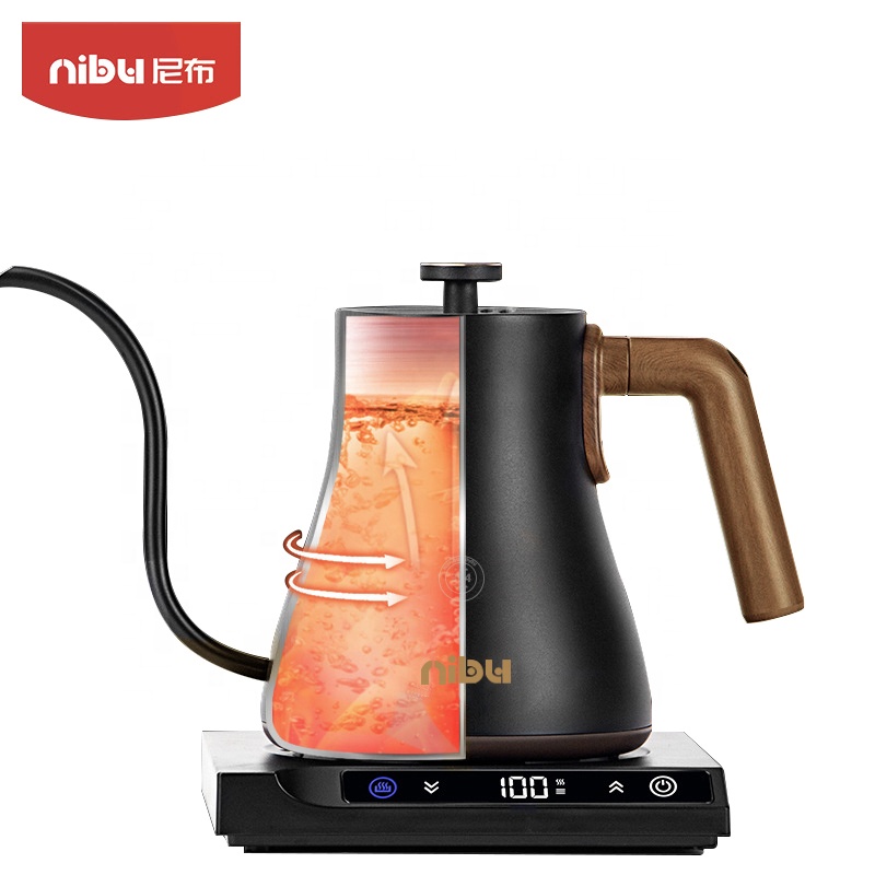 Bollitore elettrico in acciaio - Electric Kettle Temperature Control recensione e prezzo